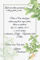 Narodeninová pozvánka na vašu narodeninovú oslavu