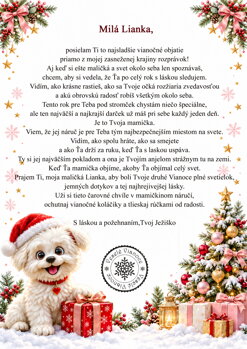 vianočná pošta  