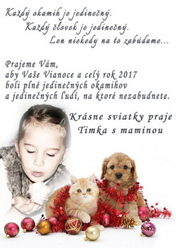 Vianočné pohľadnice